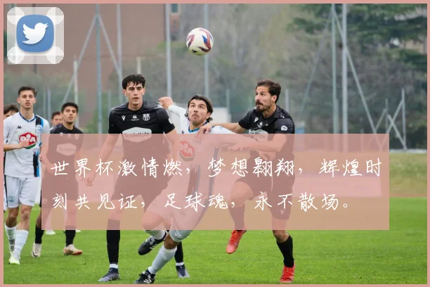世界杯激情燃，梦想翱翔，辉煌时刻共见证，足球魂，永不散场。