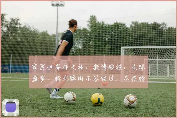 塞黑世界杯之旅，激情碰撞，足球盛宴，精彩瞬间不容错过，尽在精彩瞬间