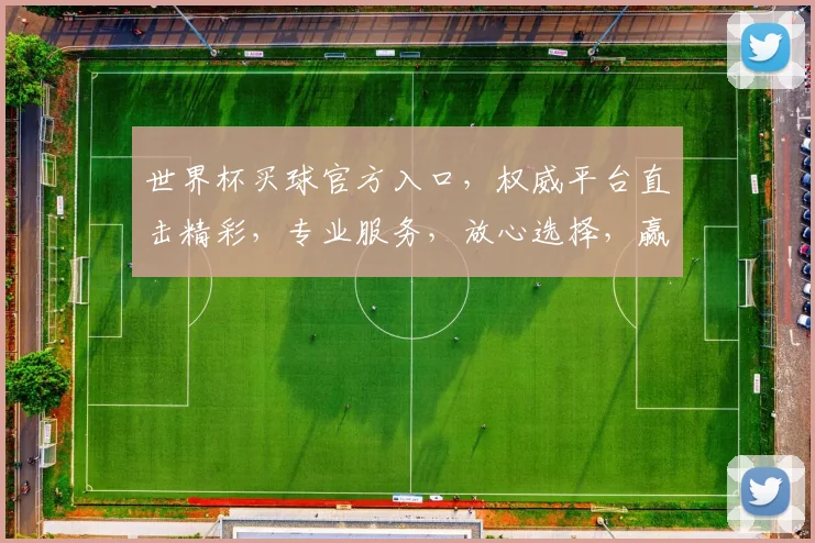 世界杯买球官方入口，权威平台直击精彩，专业服务，放心选择，赢球之道
