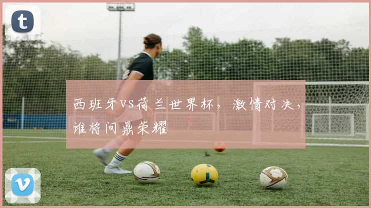 西班牙vs荷兰世界杯，激情对决，谁将问鼎荣耀