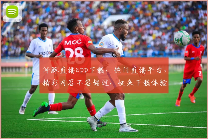 河豚直播app下载，热门直播平台，精彩内容不容错过，快来下载体验